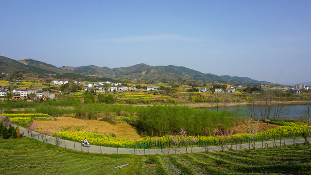 龙坝水库春光