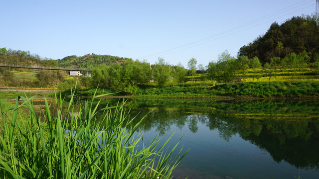 县河阳坡寨河岸