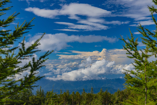 富士山景区风光