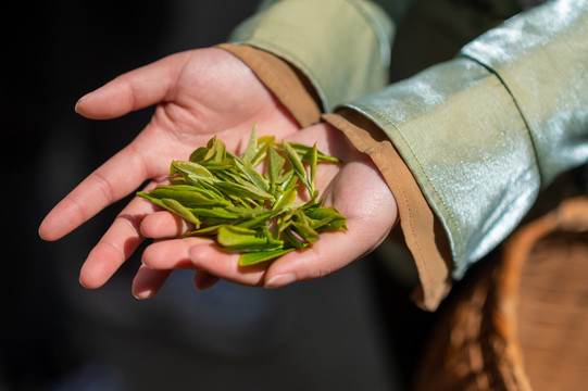 茶草