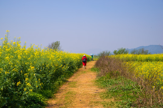 乡村小路