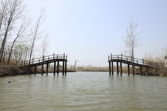 洪泽湖湿地公园