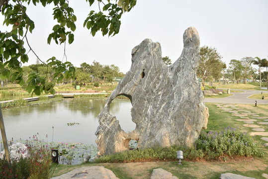 公园奇石