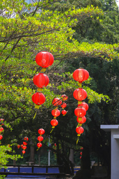 大红灯笼高高挂春天气息壁纸