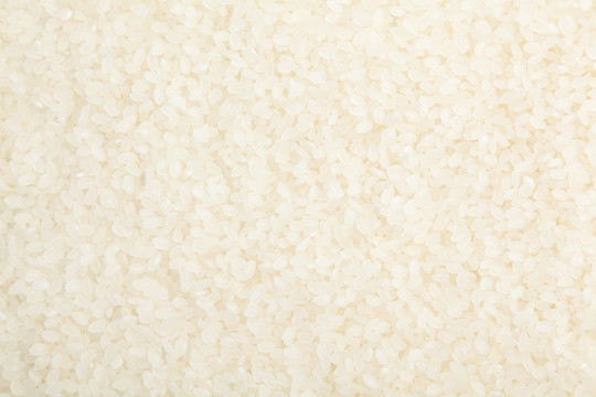 珍珠米背景