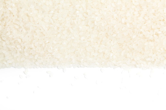 东北珍珠米背景