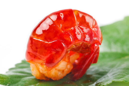 叶子上的一只龙虾虾球