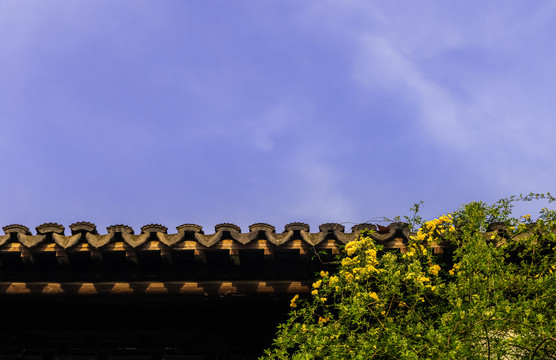屋檐