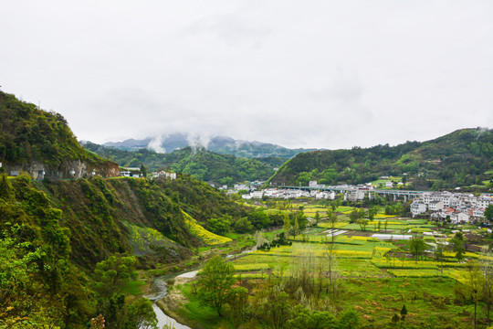 乡村油菜花风景