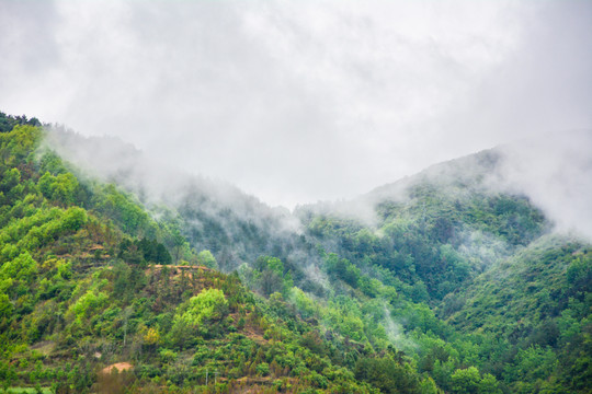 雨雾后的山