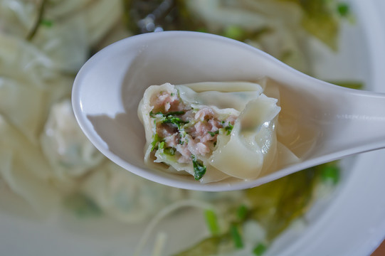 咬了一口的青菜鲜肉馄饨