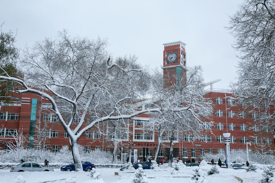齐齐哈尔大学艺术楼雪景
