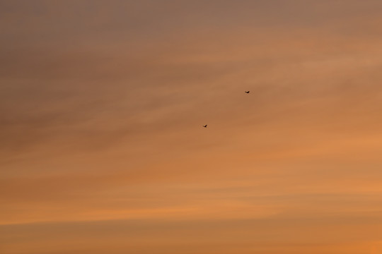 朝霞天空