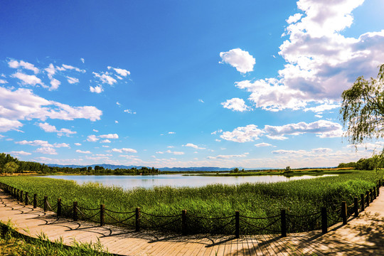 野鸭湖湿地公园