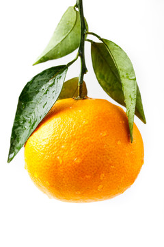 一个爱媛38柑橘