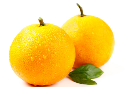两个爱媛橙脐橙