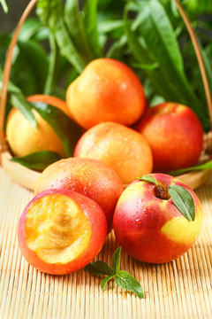 高原油桃
