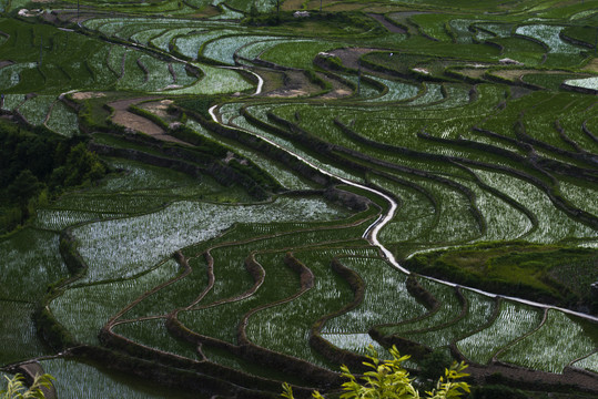 凤堰古梯田