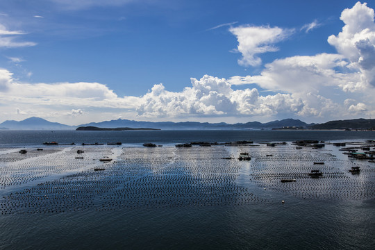 深圳大鹏南澳水产海鲜养殖基地