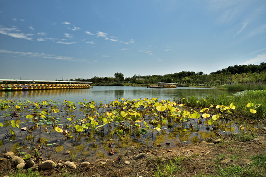 河北省石家庄市鹿泉区龙泉湖公园