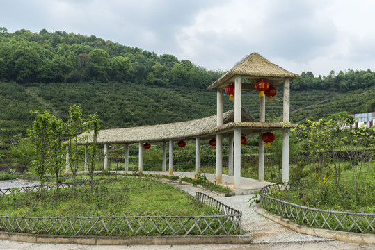 美丽乡村建设节点