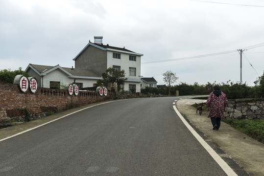 农村公路