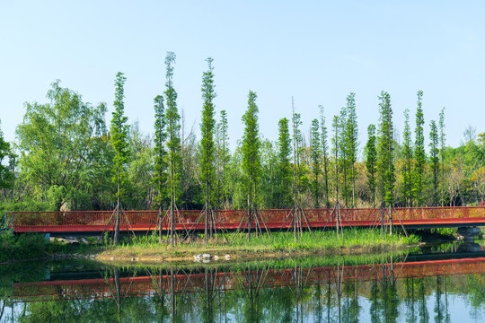 成都锦城湖公园湖景