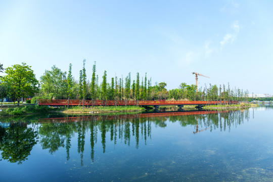 成都锦城湖公园生态湖风光