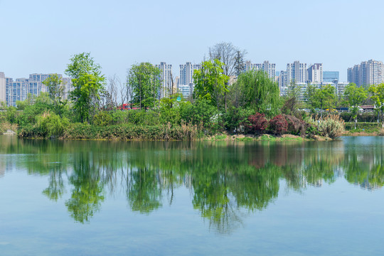 成都锦城湖公园湖景