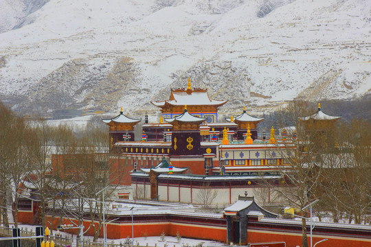 冬季拉卜楞寺