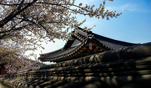 韩式建筑物房顶