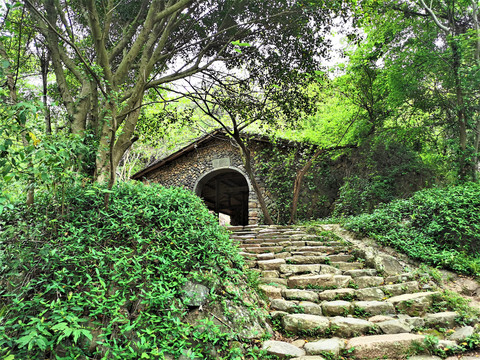 山间休闲小屋