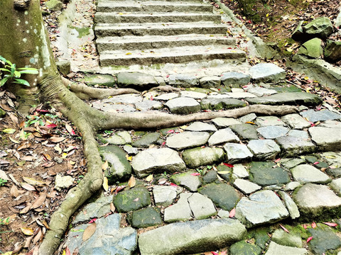 石板登山道