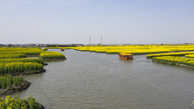 千垛菜花景区