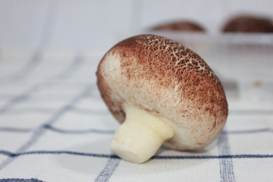 红糖蘑菇包