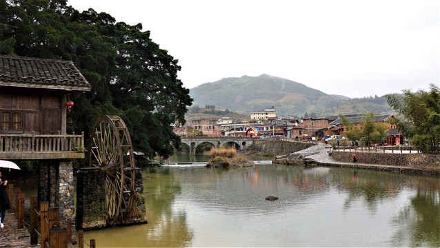 小溪小河大榕树