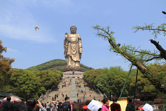 无锡灵山大佛