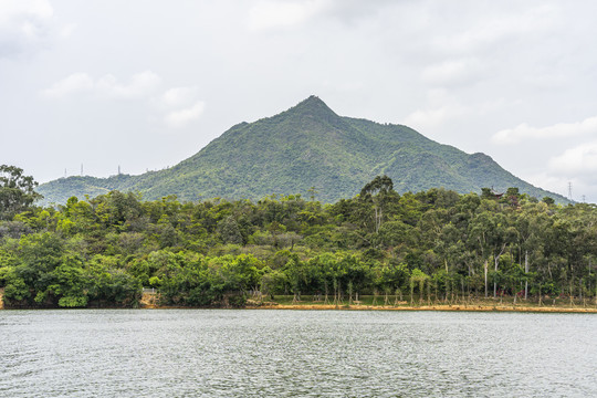 东莞莲花山