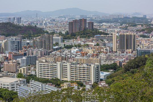 东莞凤岗镇