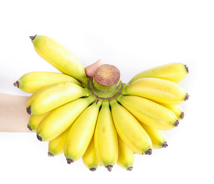 金香蕉