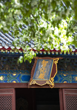 北京智化殿