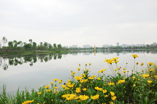 菁蓉湖生态公园