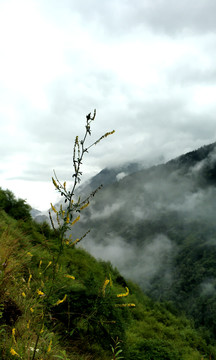 川西高山云海