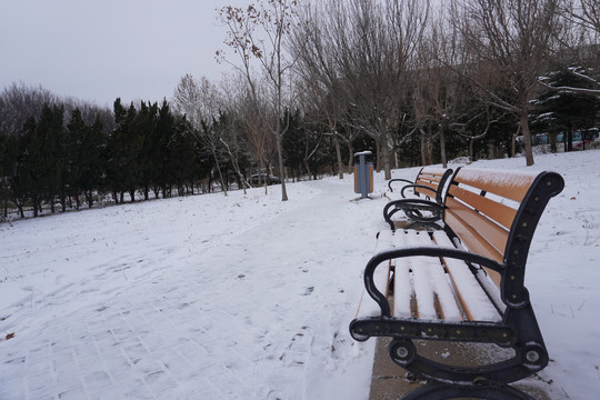 雪地连椅
