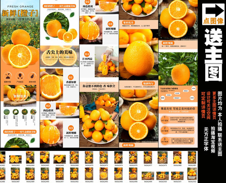 新鲜橙子详情