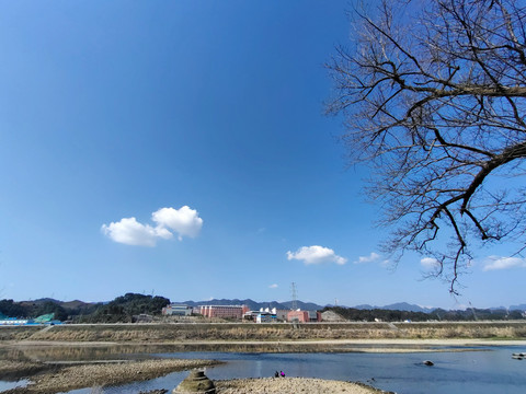 天空与树枝