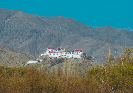 西藏高山和寺庙