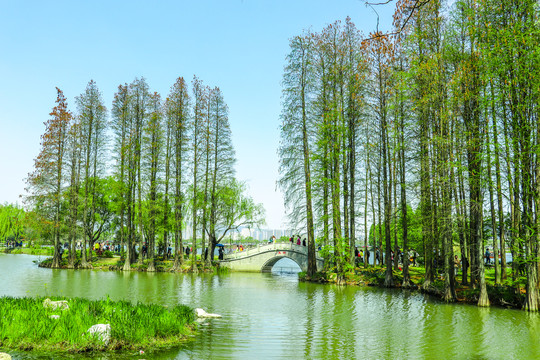 山水风景