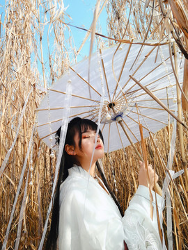 芦苇荡里撑油纸伞的汉服美女