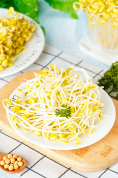 黄豆芽